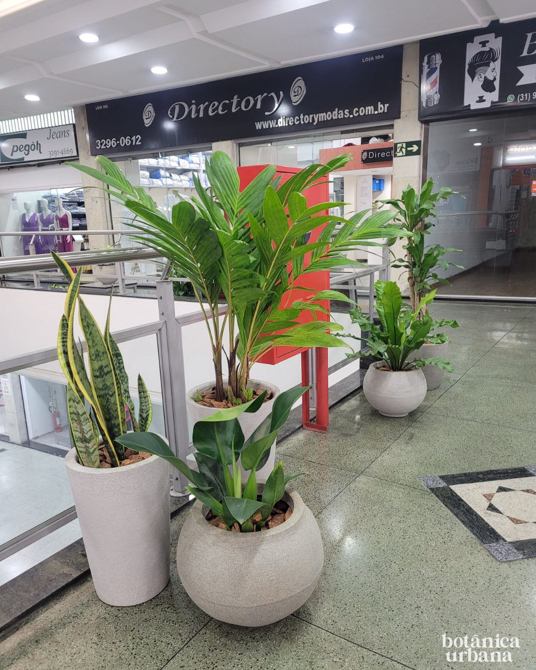 Galeria Chaves