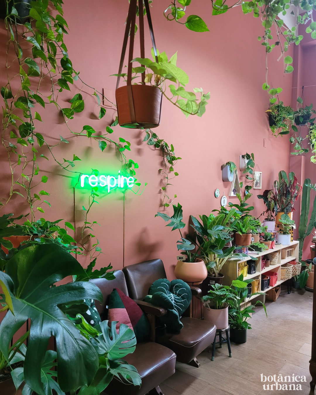 Interior da loja Botânica Urbana