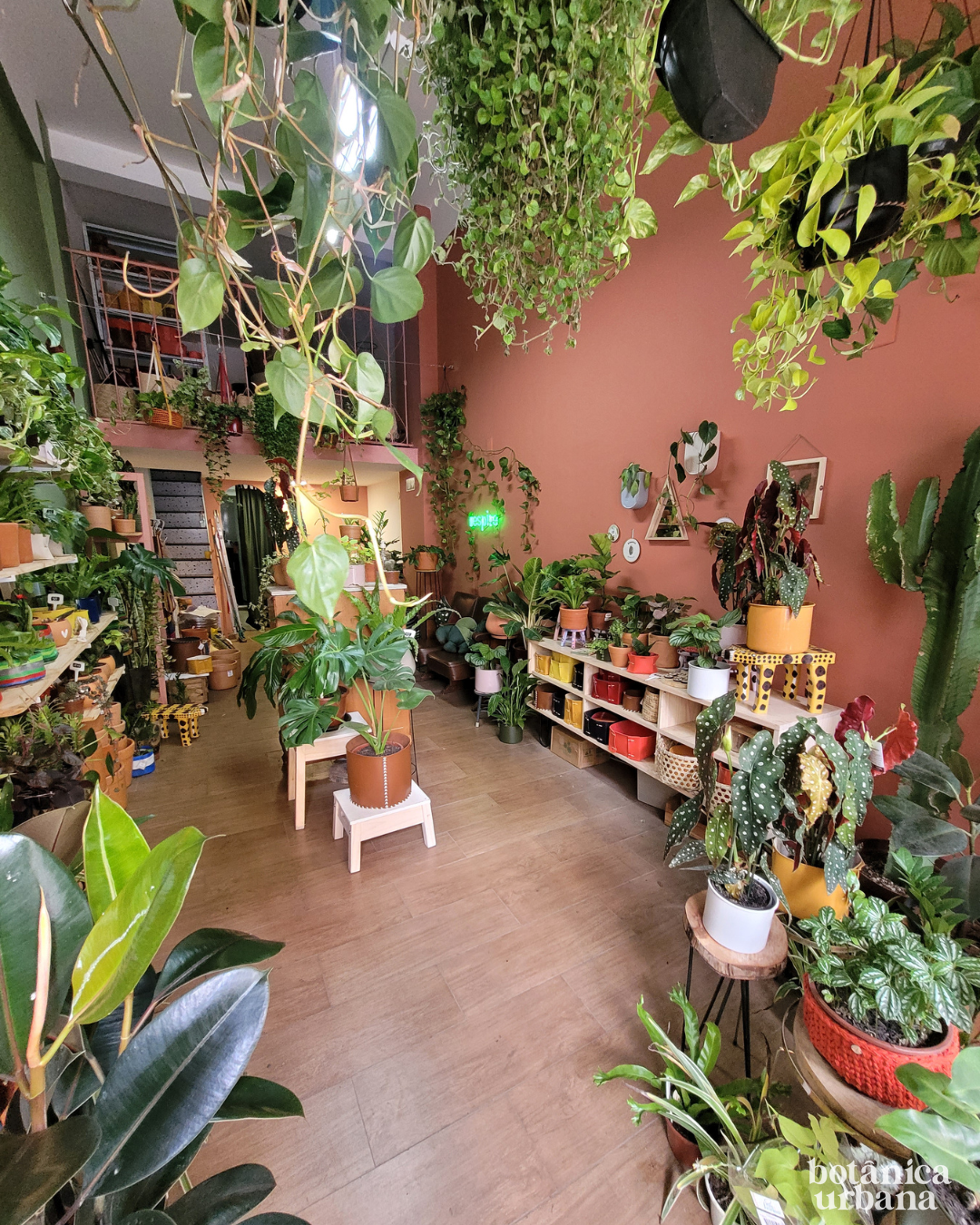 Interior da loja Botânica Urbana