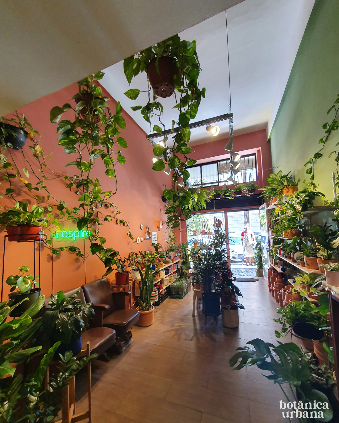 Interior da loja Botânica Urbana