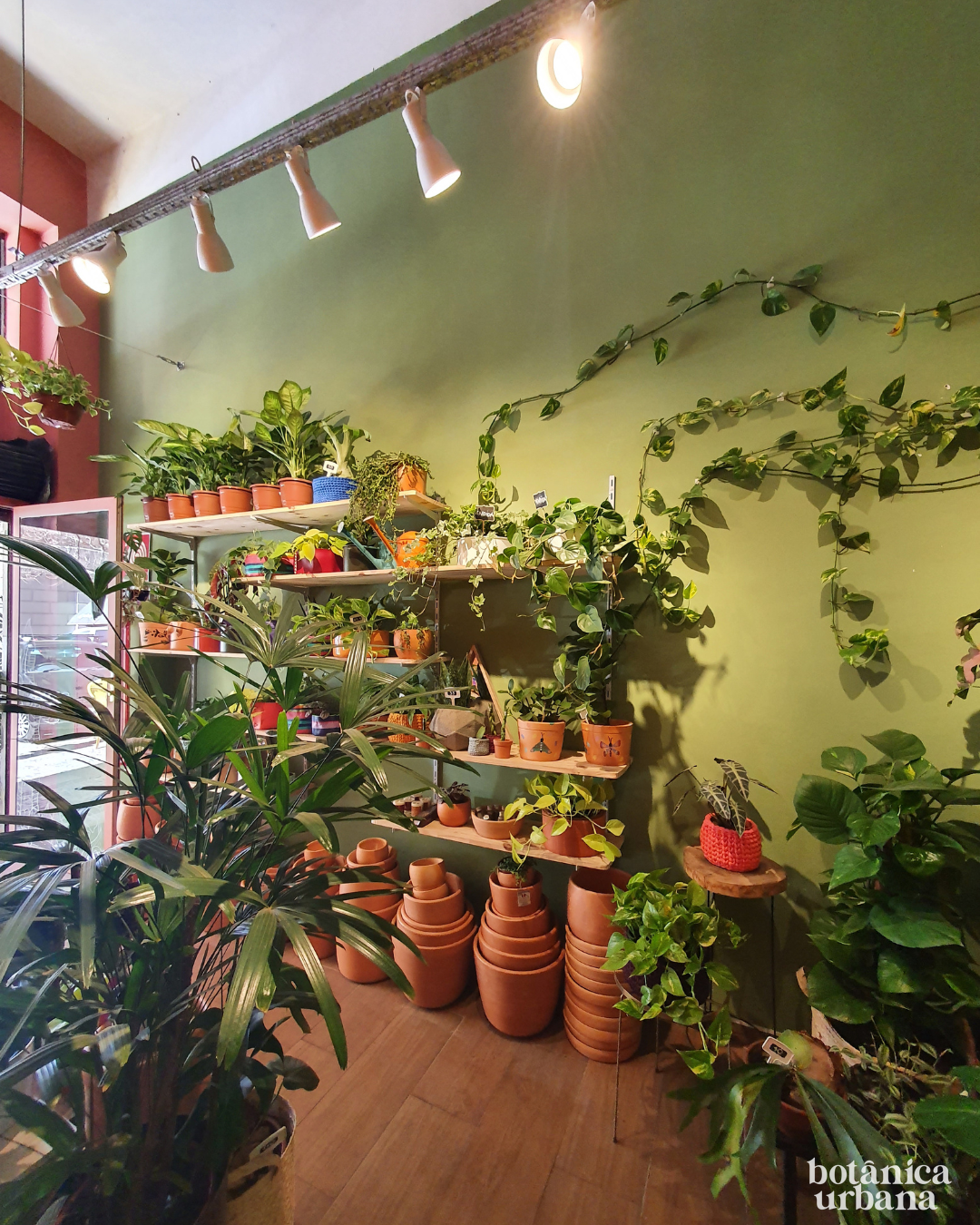 Interior da loja Botânica Urbana