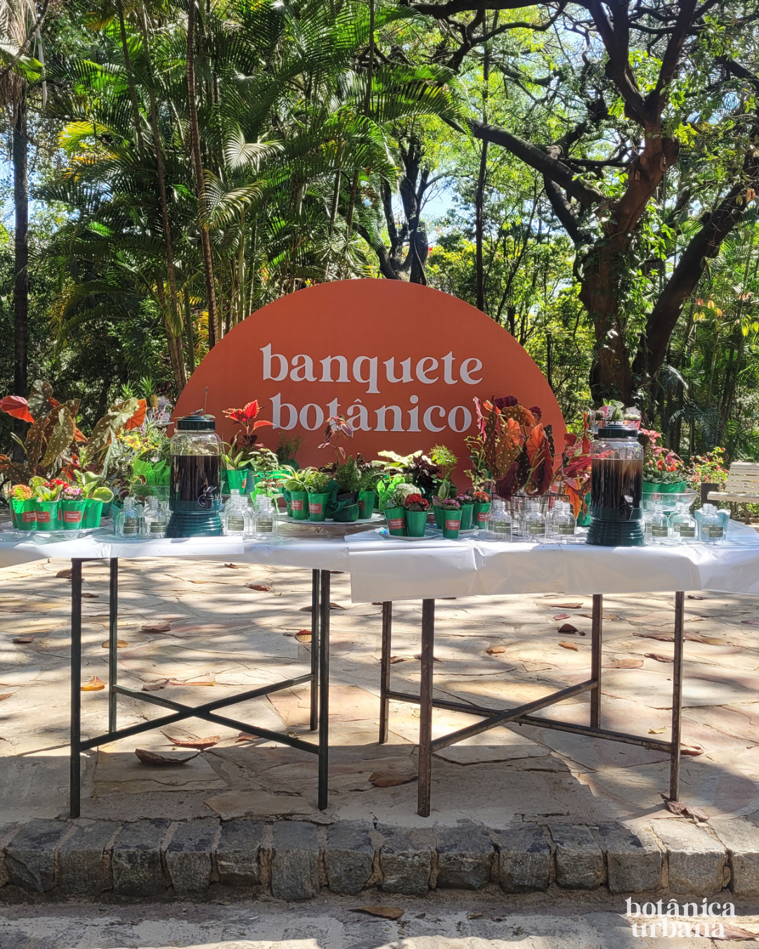 Virada Cultural - Banquete Botânico 